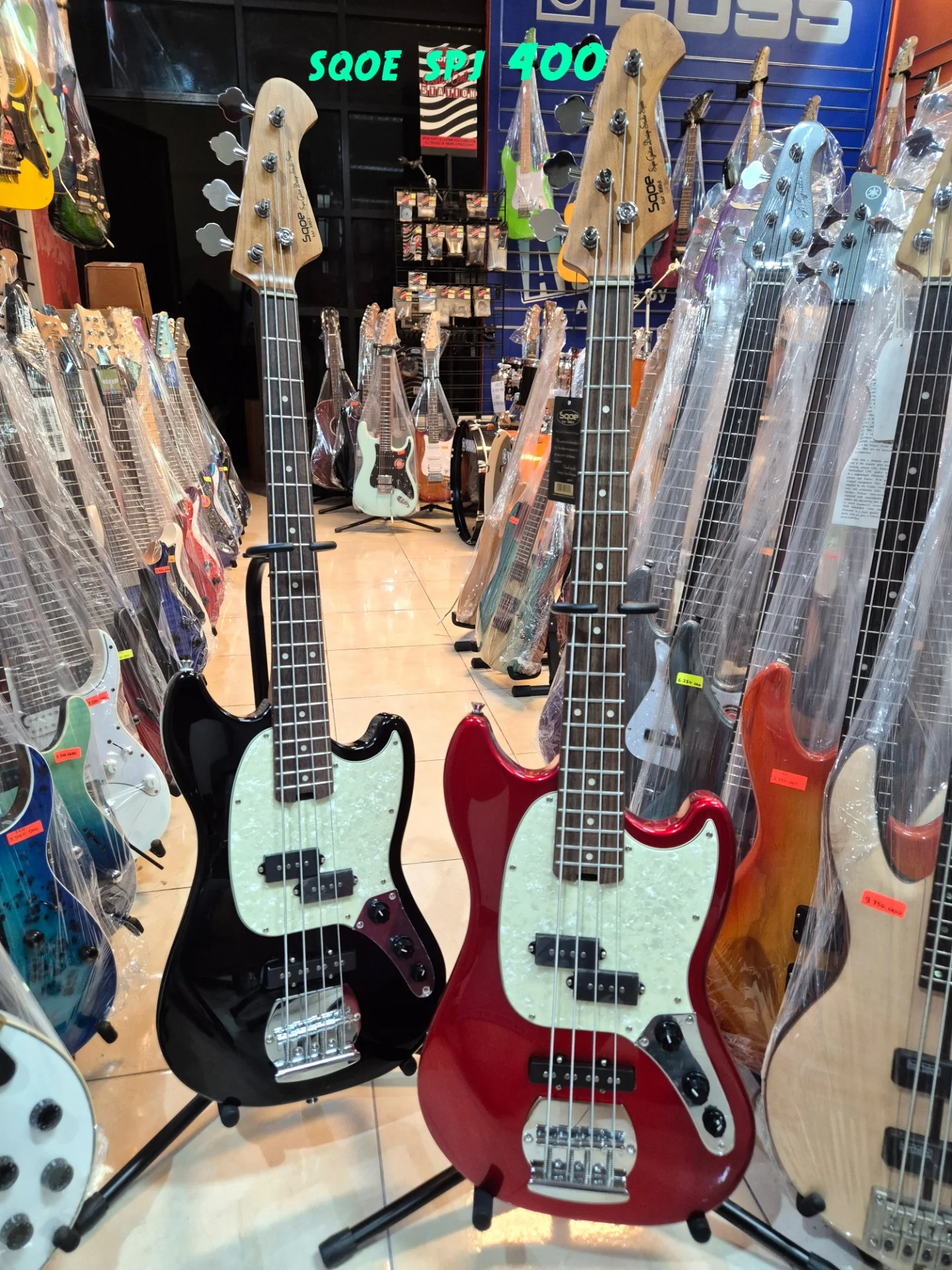 Squier Bass Guitars · Shop Photo